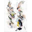 Bailamos Print