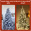Christmas Tree-249465687