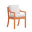 Dining Chair with Arms-1152991031