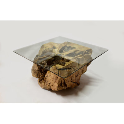 Table basse Wild Cherry Root