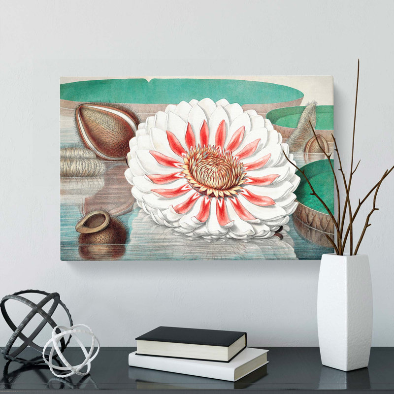 Gigantic Water Lily In Full Bloom by William Sharp - Wrapped Canvas Painting, 40cm H x 60cm W x 3cm D