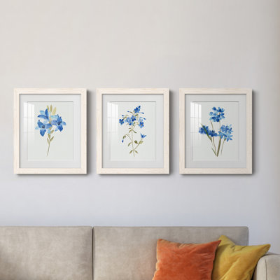 «Blue Blossom Botanical I», ensemble de 3 cadres photo