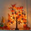 Décorations d'automne pour la maison, 24 po / 2 pi avec feuilles d'érable d'automne éclairées avec 24 lumières à DEL blanc chaud pour la décoration d'automne, 12 ornements de glands en bois, minuterie à piles pour la décoration intérieure