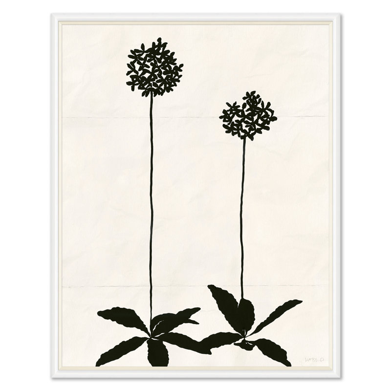 Allium (var. 2) Print by Susan Hable, White, 54" H x 43" W
