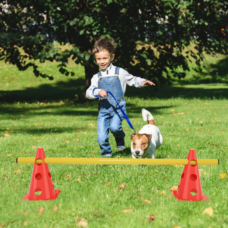 Agility Equipment Set 12 Cones and 6 Bars Jump Training Kit with Carry Bag Coordination Training Adjustable Height Obstacles Agility Hurdles for Children Dogs