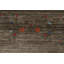 Tapis oriental fait à la main Gabbeh 8 x 10