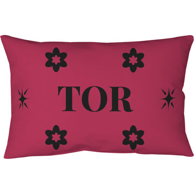 Coussin en faux daim Toronto Basketball 20 po x 14 po