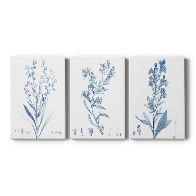 Antique Botanical in Blue I - Toile tendue avec châssis sur mesure - 3 pièces, H 60 po x l 120 po, Impression sans cadre