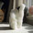 Asenith Figurines & Sculptures