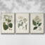 «Arctic Forest I», reproduction de photo sur toile 3 pièces-642904226-642904227