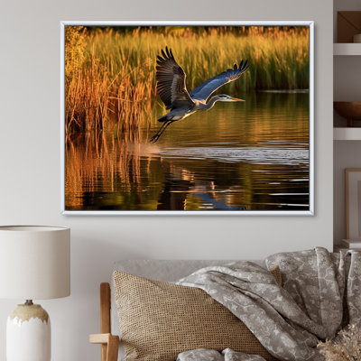 Heron In Delaware Lakes sur impression sur toile