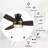 Ceiling Fan with LED Lights