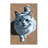 Washable Russian White Cats Area Rug-2059640401