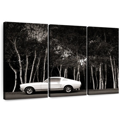 Voiture noire et blanche Mehar