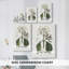 Tropical Botanical IV - Cavas enveloppés de galerie-1483249423