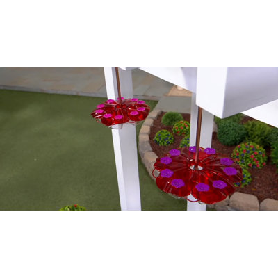 Rillia Decorative Bird Feeder
