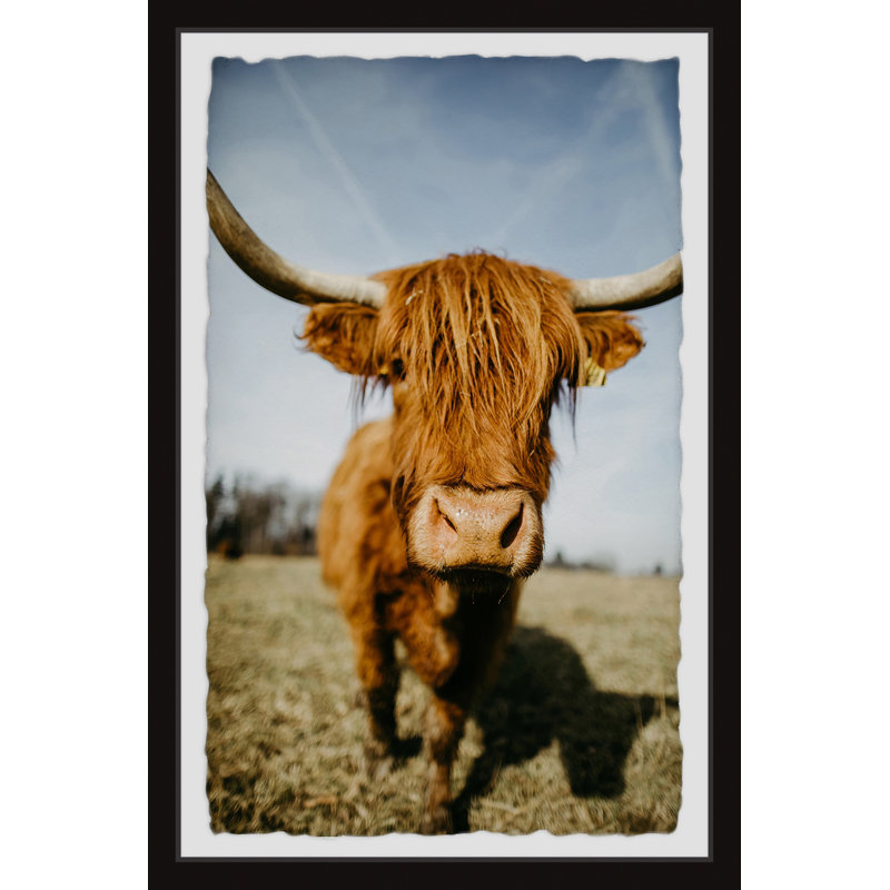 Eveloe Print