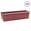 Planter-1692342291-1692342292