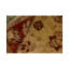Hand-Knotted High-Quality Cream and Red Area Rug