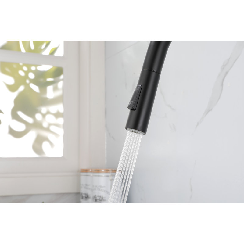 Robinet de cuisine rétractable avec douchette | Idée de cadeau, Noir mat