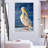 Brampt Shy Pelican-108622644