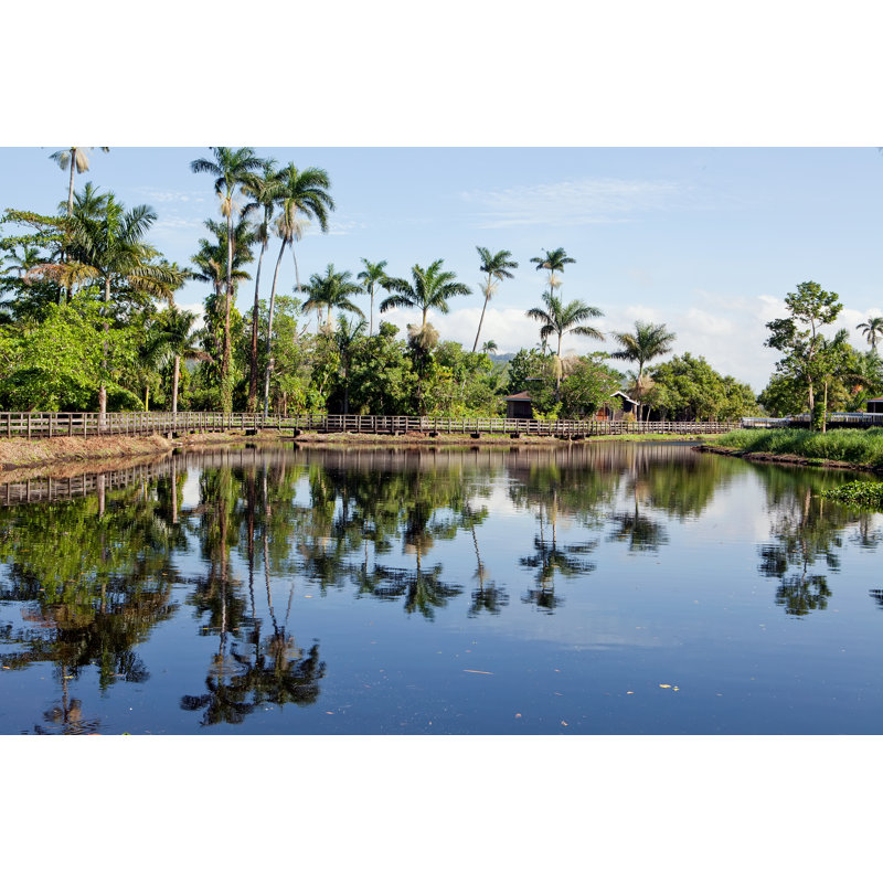 Jamaican Paradise - Photographie sur toile tendue, H 12 po x l 18 po