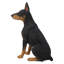 Statue de chien Doberman pinscher assis