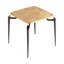 Tarsal End Table