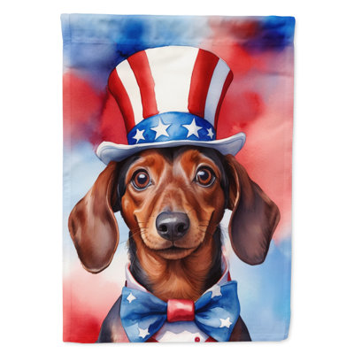 Patriotic American House Flag