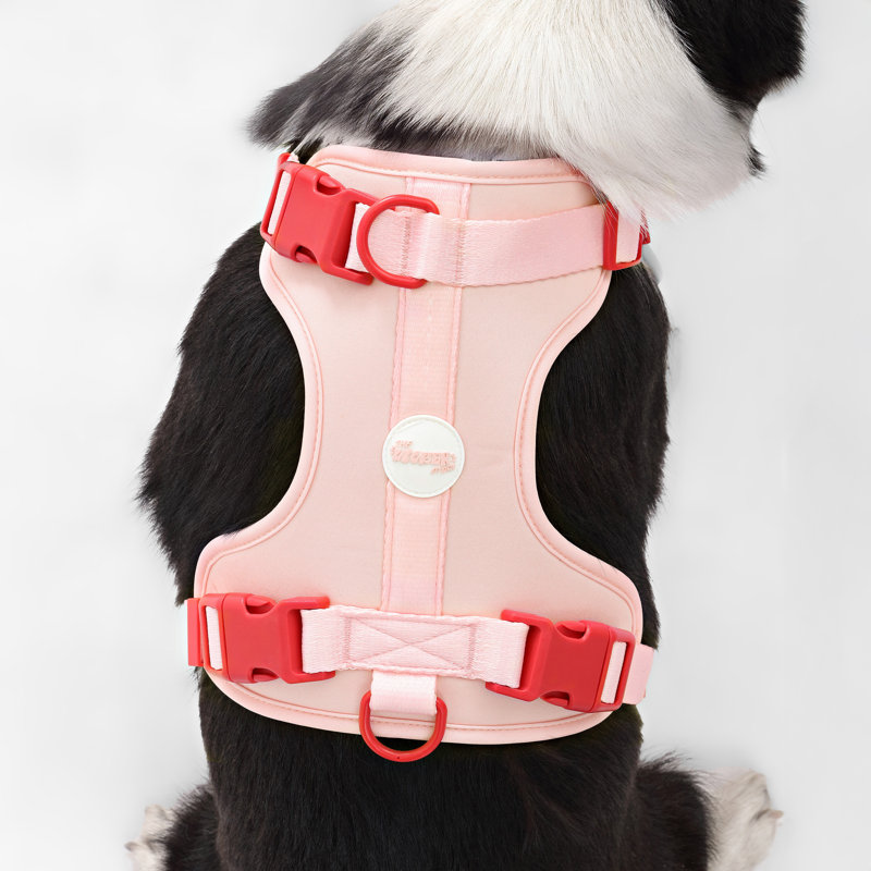 Harnais pour animal de compagnie Arlo, Rose, Grand