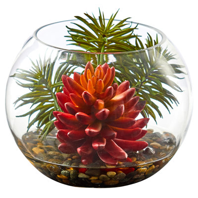 Artificial Cactus Succulent Plant in Terrarium