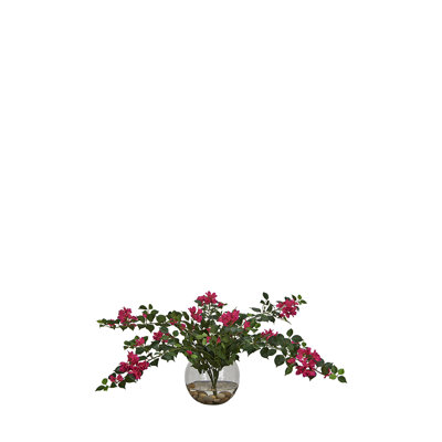Bougainvillée dans un bol à bulles