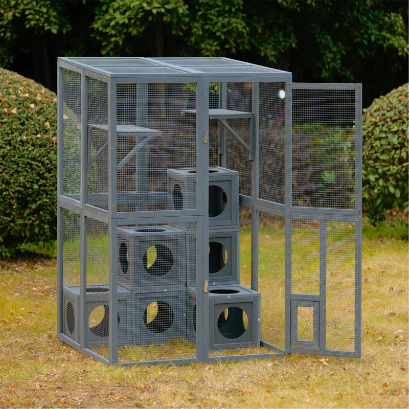Tablettes d'extérieur pour chat Catio
