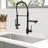 GAWEZA Pull Down Kitchen Faucet-80365720