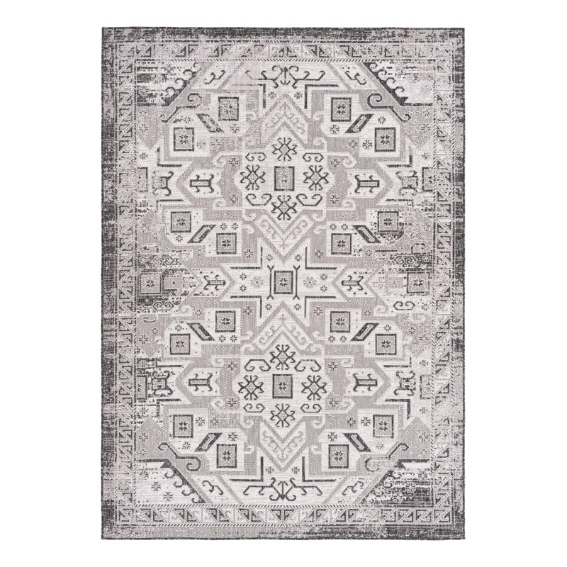 Alucard Indoor / Outdoor Rug, Rectangle 7' x 10'