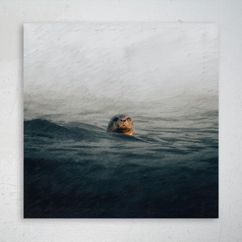 " A Seal's Head On The Water " Painting Print, 16" H x 16" W x 2" D