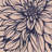 Dahlia flower - 32"x32" art on canvas