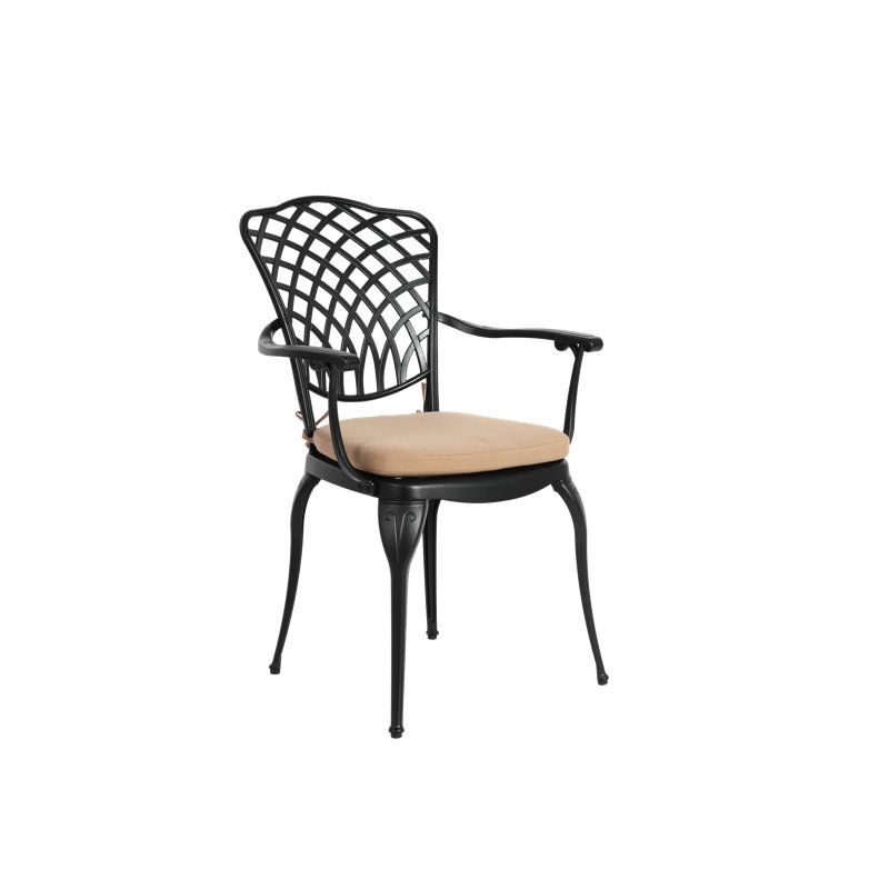 Outdoor 3-Piece Cast Aluminum Patio Set with Cushion & Armrest, Black/Brown