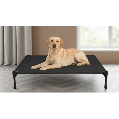 Outdoor Elevated Dog Bed for Large-Sized Dogs, Large Cooling Raised Dog Cot, Functions as Training Platform or Off-Ground Hammock, Constructed with Breathable Mesh, Features Non-Slip Feet, Dimensions: 42 Inches by 30 Inches, Color: Black
