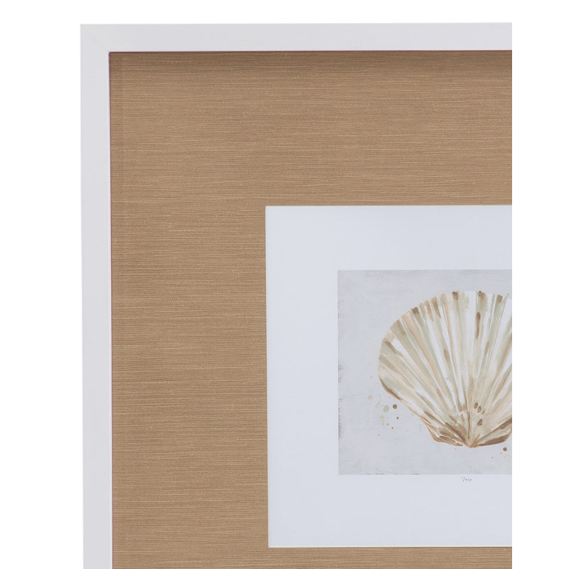 Neutral Shell Fresco IV Framed Print