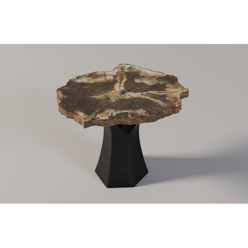 Arboresce Petrified Wood Mini Coffee Table
