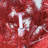 Regular (Full) Artificial Christmas Tree with Red;White Needles