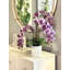 Arrangement moderne d'orchidées dans un pot rond en fibre de pierre-458349338