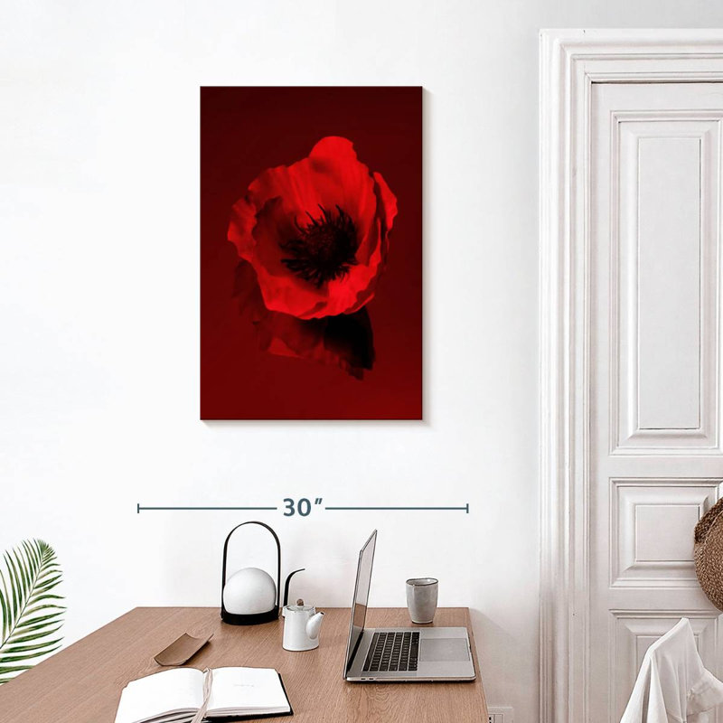 Dark Red Poppy, 30" H x 20" W