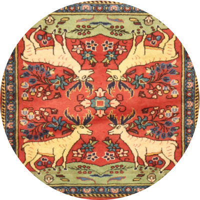 Oriental Indoor Rug
