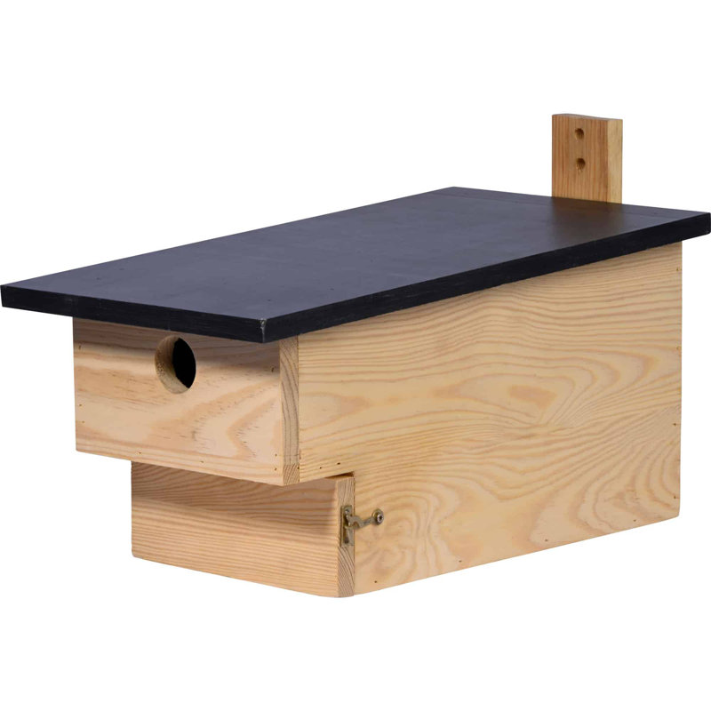 Mounted Bird House