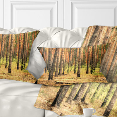 Beautiful Pine Forest at Sunset - Forest Printed Throw Pillow