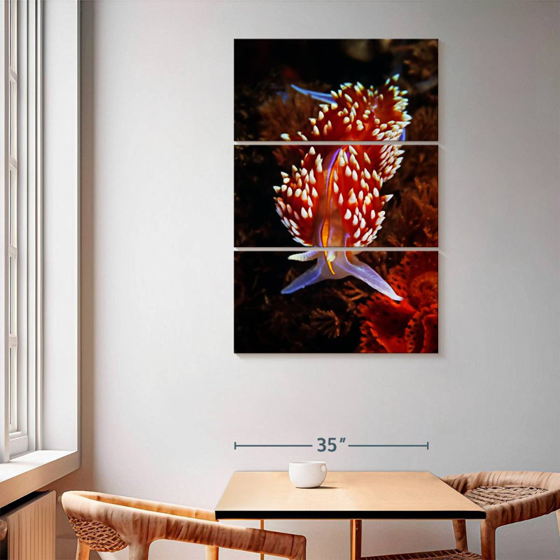 Brampt Exotic Nudibranch, 65" H x 42" W