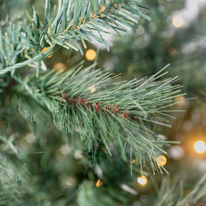 BURLINGHAM BRISTLE - Christmas Tree with Colour Switch Lights, 7.5 ft