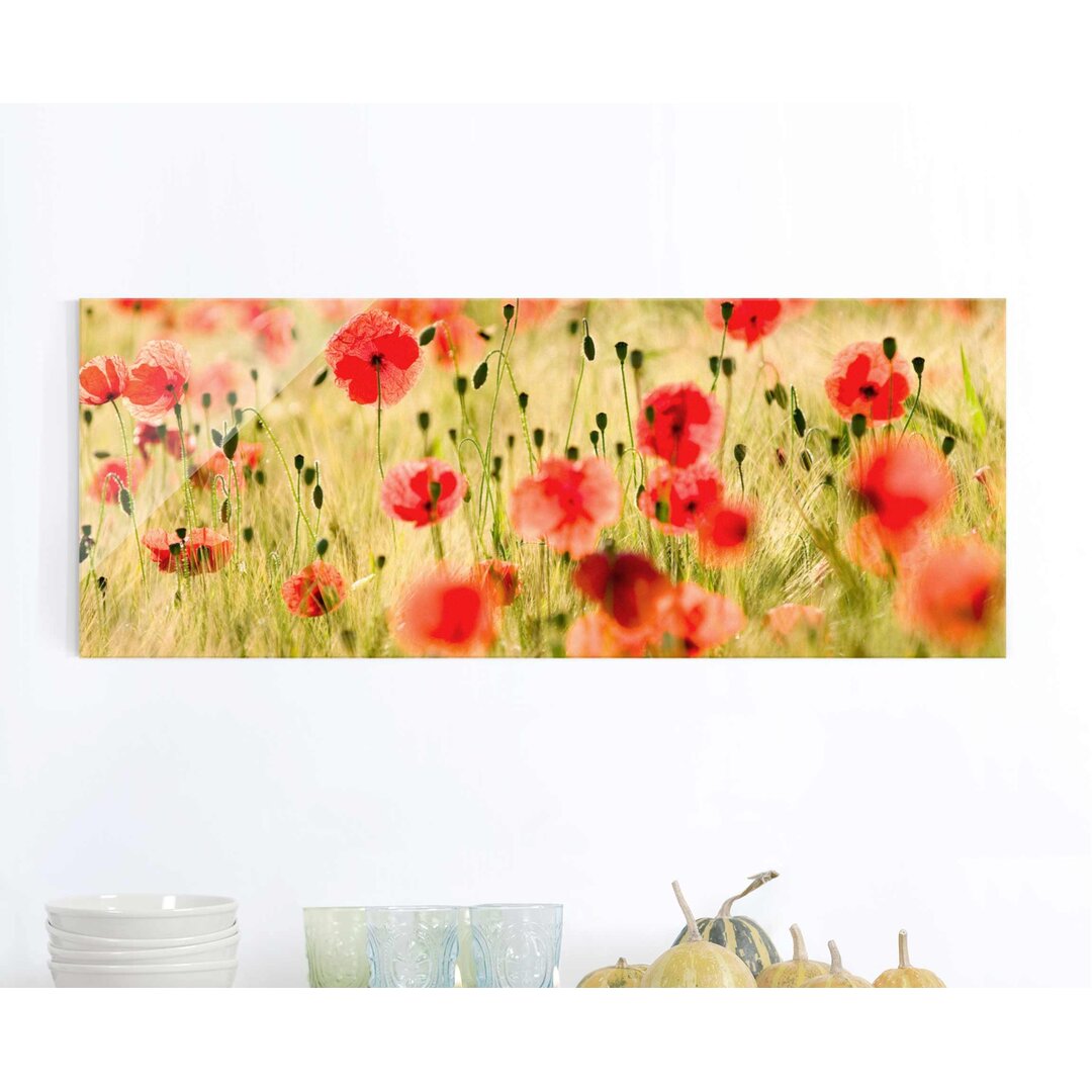 Glasbild Mohnblumen im Sommer in Rot